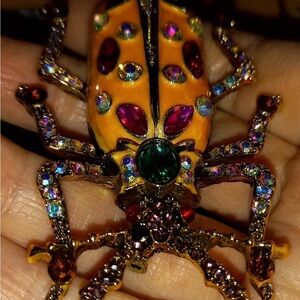Colorful Jeweled Beetle Brooch